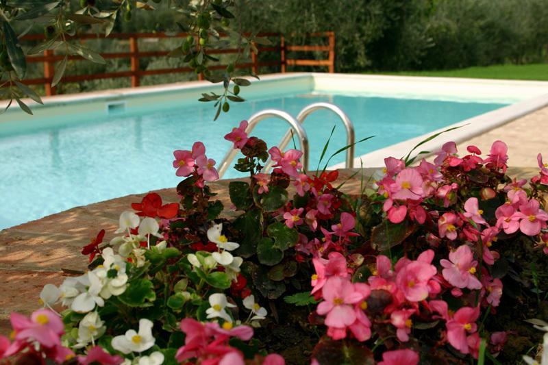 Agriturismo Il Sasso Montepulciano Room photo